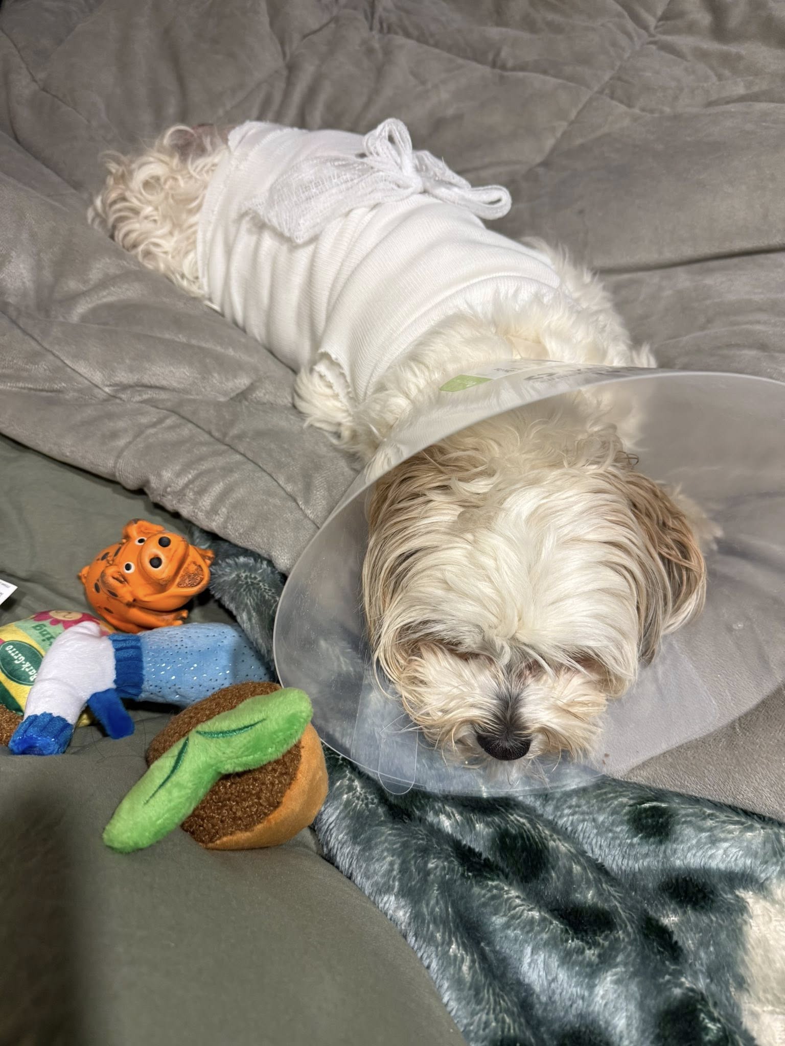 Kona recovering